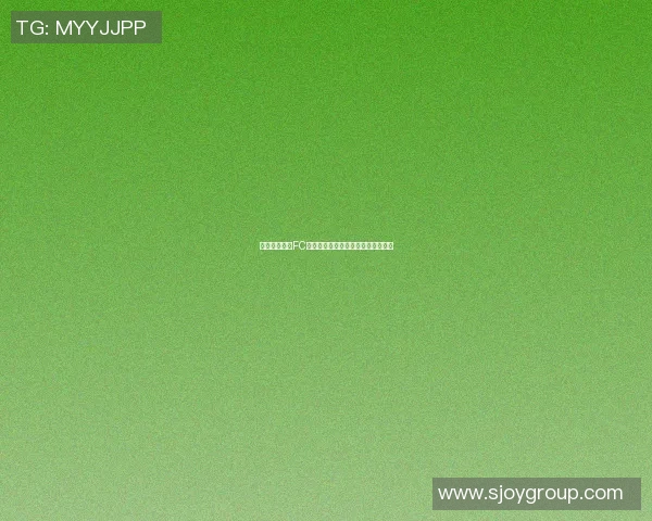 墨尔城与悉尼FC激战正酣谁能在这场对决中笑到最后