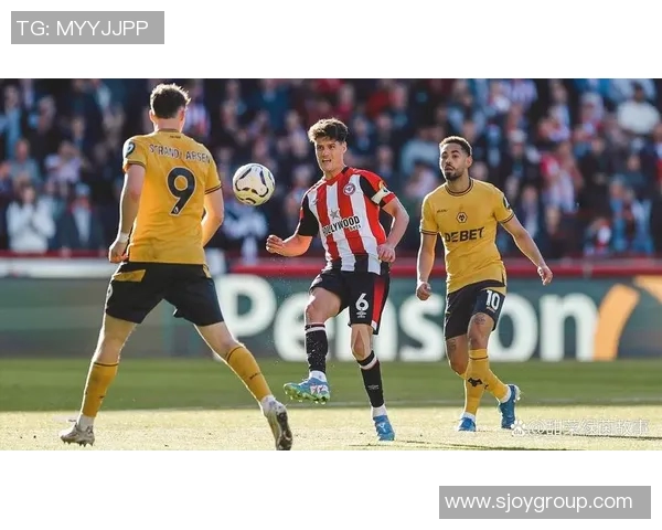 布莱顿与狼队英超对决前瞻分析及比赛预测