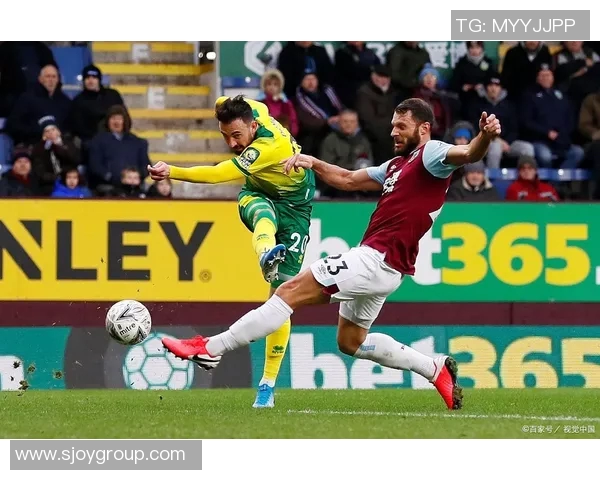 布城与诺维奇精彩对决直播时间及观看方式全攻略