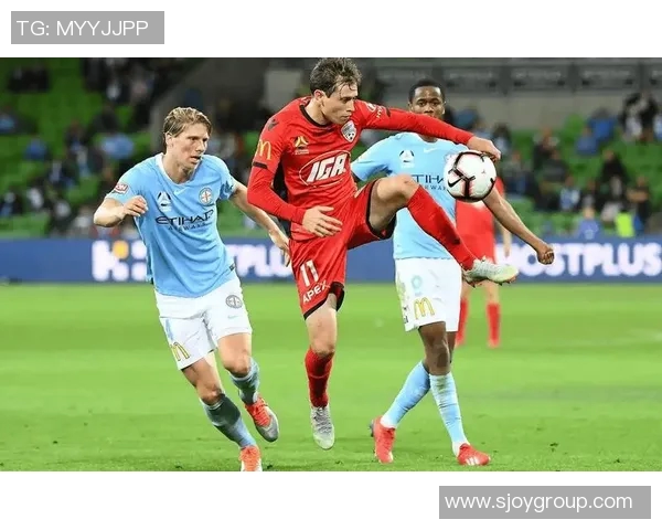 惠灵顿凤凰对阵墨尔本胜利赛事分析及推荐建议