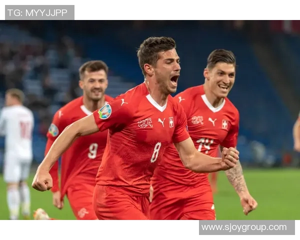 斯洛伐克与丹麦球员对决分析揭示两国足球风格与实力差异