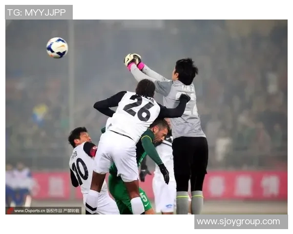 法甲激战里尔主场迎战南特力争三分争夺欧战资格