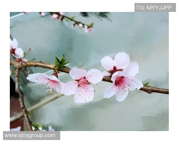 罗凯文的成长之路与音乐梦想的追寻与实现