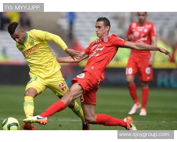 里尔与南特比赛数据分析揭示双方实力对比与战术特点 里尔与南特比赛数据分析揭示双方实力对比与战术特点