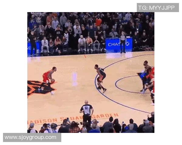 2013年尼克斯与公牛激战回顾：经典对决与精彩瞬间解析