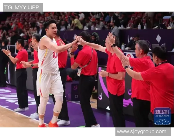 中国蓝队与新西兰精彩对决全场录像回放及精彩瞬间分析